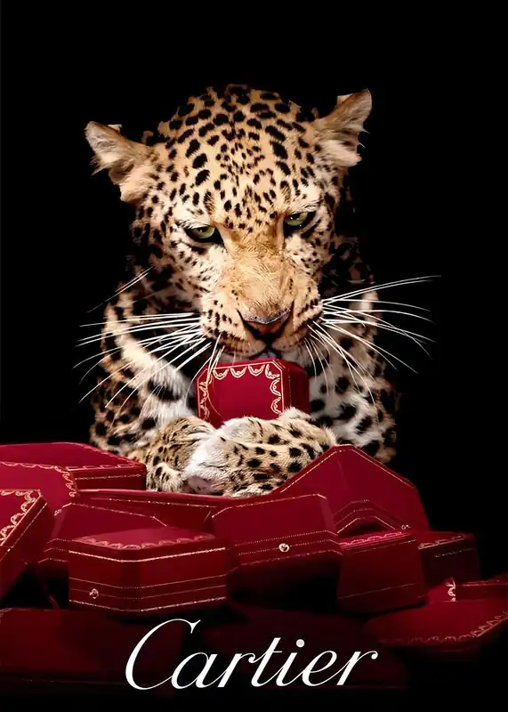 Juliste - Leopard Cartier Ilmainen Palautus
