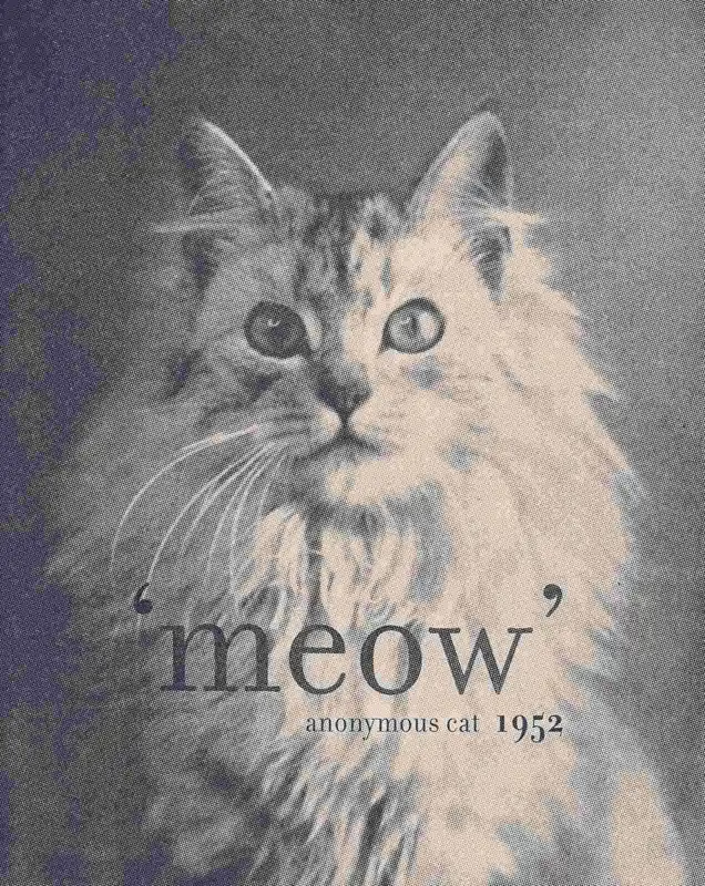 Tukkuhinta Juliste - Meow Kissa 1952
