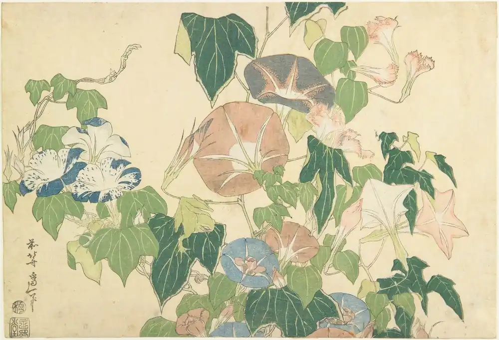 Juliste - Morning Glories Hiroshigen mukaan Älä Missaa