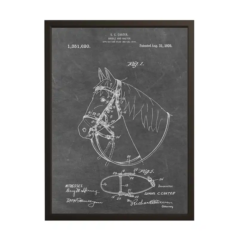 Flash-Tarjous Patenttipiirros Juliste - Hevosensuitset