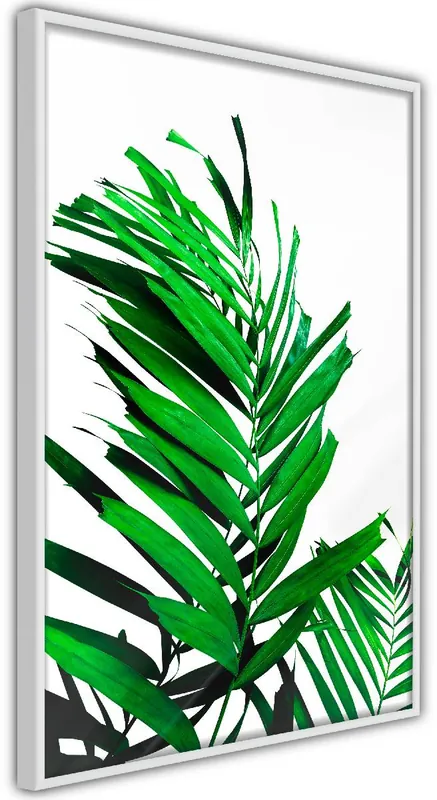 Juliste Artgeist Juicy Leaf kehyksillä eri kokoja Päivän Tarjous