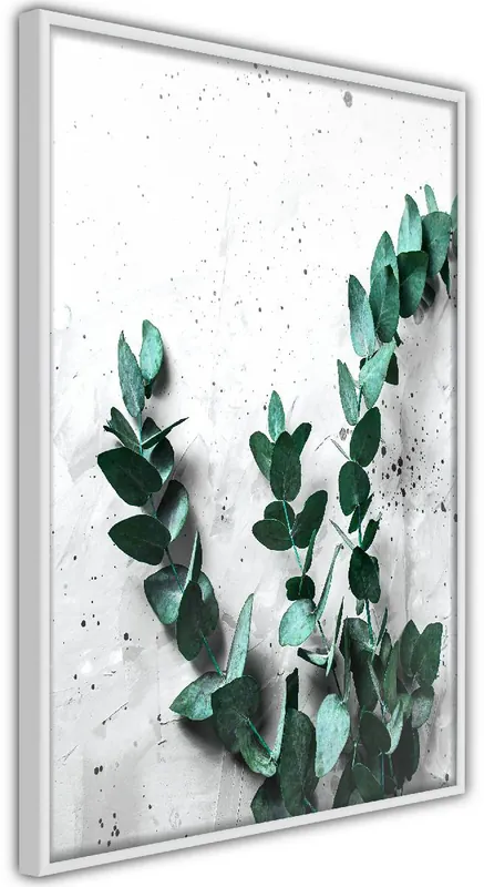 Juliste Artgeist Eucalyptus Scent kehyksillä eri kokoja Lähetetään Heti