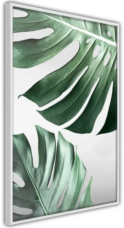 Tilaa Heti Juliste Artgeist Monstera Leaves kehyksillä eri kokoja