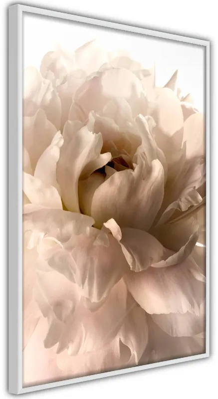 Aito Juliste Artgeist Soft Petals kehyksillä eri kokoja