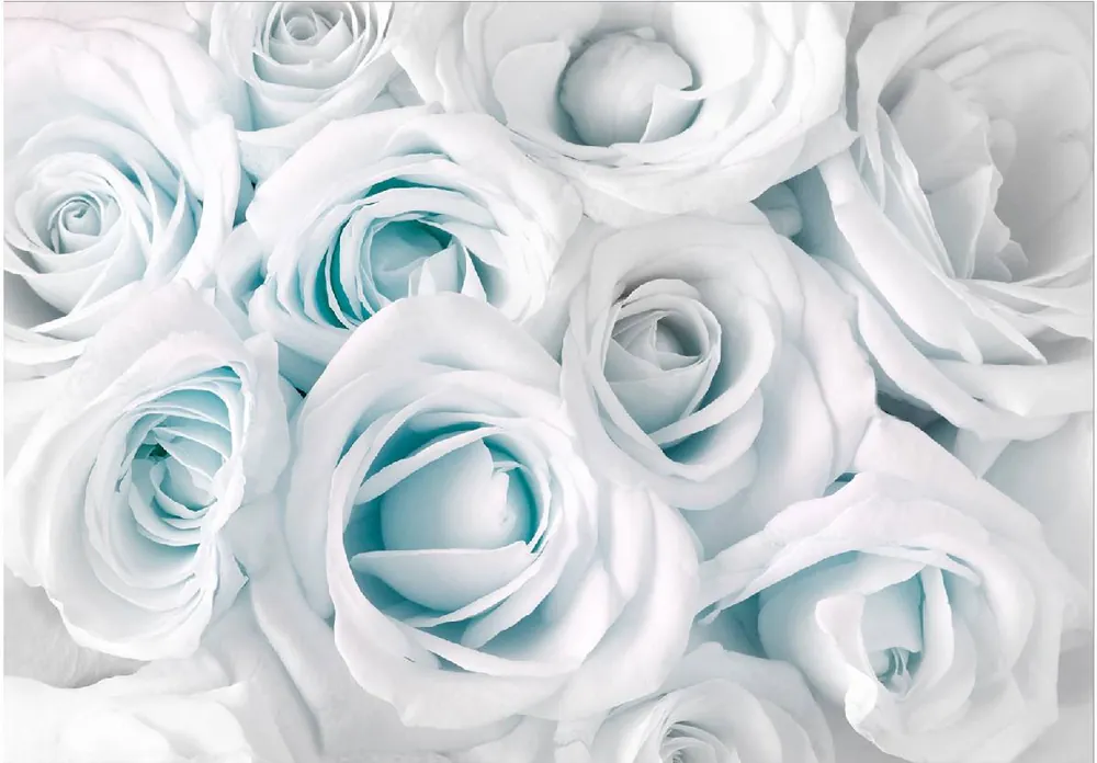 Sisustustarra Artgeist Satin Rose III eri kokoja Nopea Toimitus