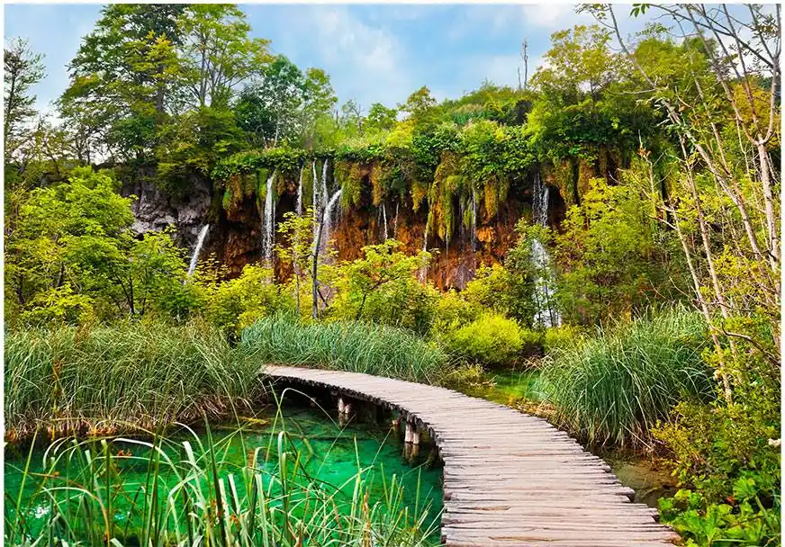 Sisustustarra Artgeist Green oasis eri kokoja Tilaa Nyt