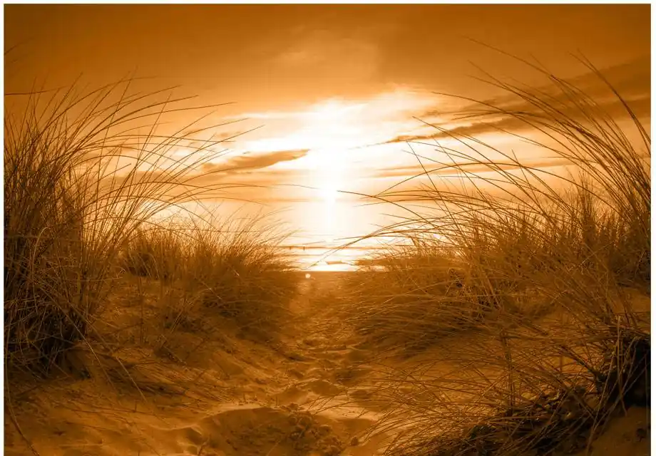 Osta Nyt Sisustustarra Artgeist Sepia Beach eri kokoja