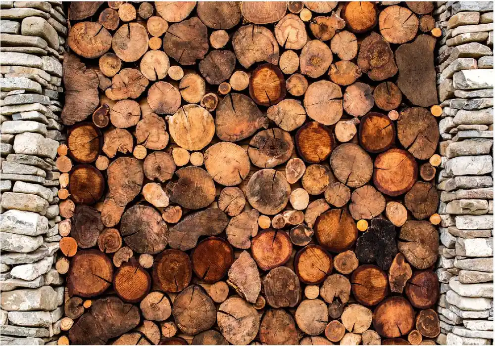 Sisustustarra Artgeist Wooden Gate eri kokoja Flash-Tarjous