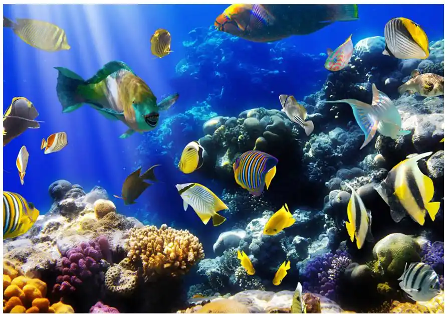 Sisustustarra Artgeist Underwater adventure eri kokoja Merkkituote