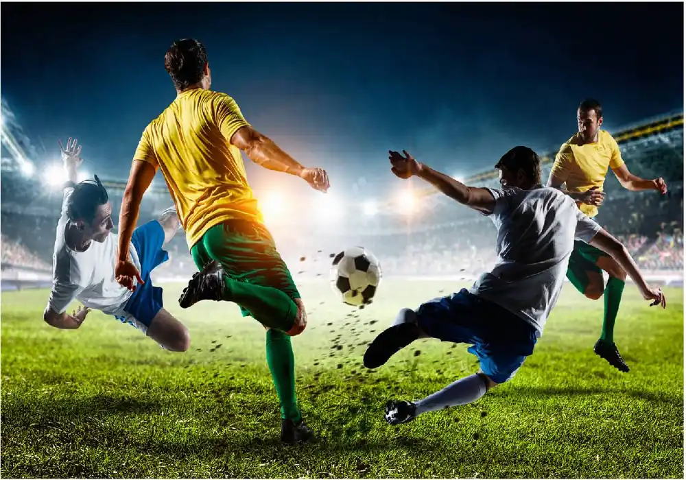 Sisustustarra Artgeist Decisive Tackle eri kokoja Edullinen