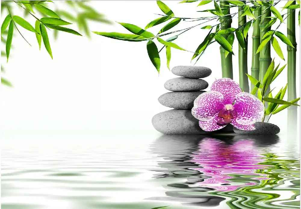 Osta Tänään Sisustustarra Artgeist Water Garden eri kokoja