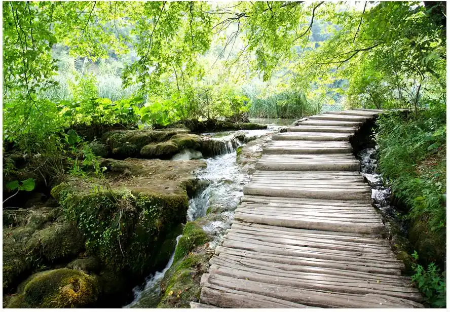 Sisustustarra Artgeist Forest path eri kokoja Osta Tänään