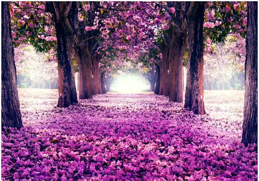 Sisustustarra Artgeist Flower road eri kokoja Tarjous