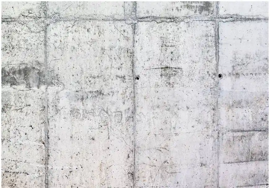 Sisustustarra Artgeist Concrete Wall eri kokoja Aito