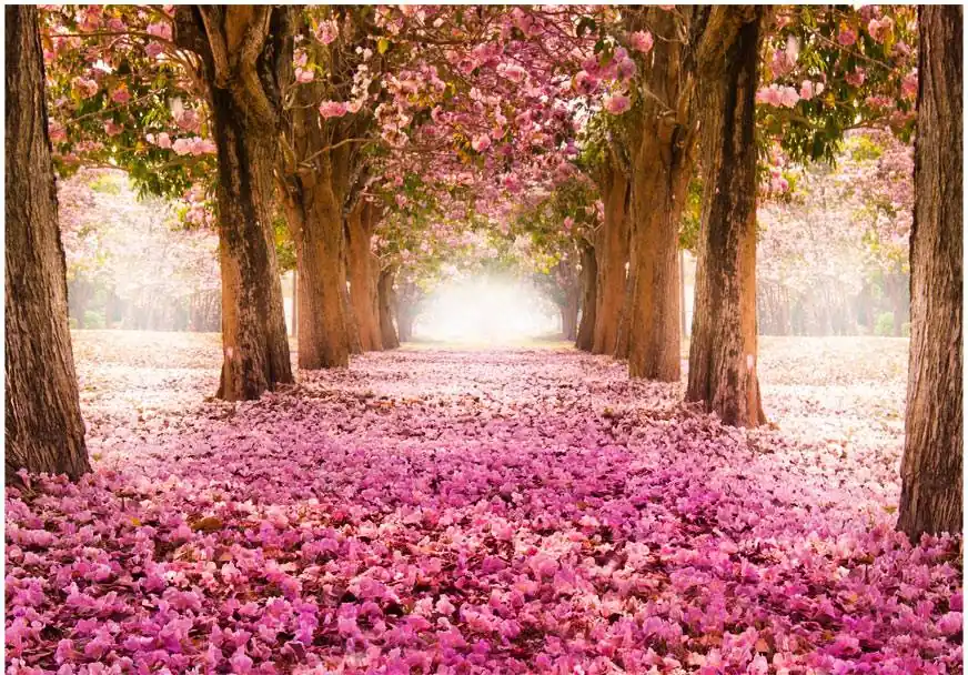 Sisustustarra Artgeist Pink grove eri kokoja Paras Hinta