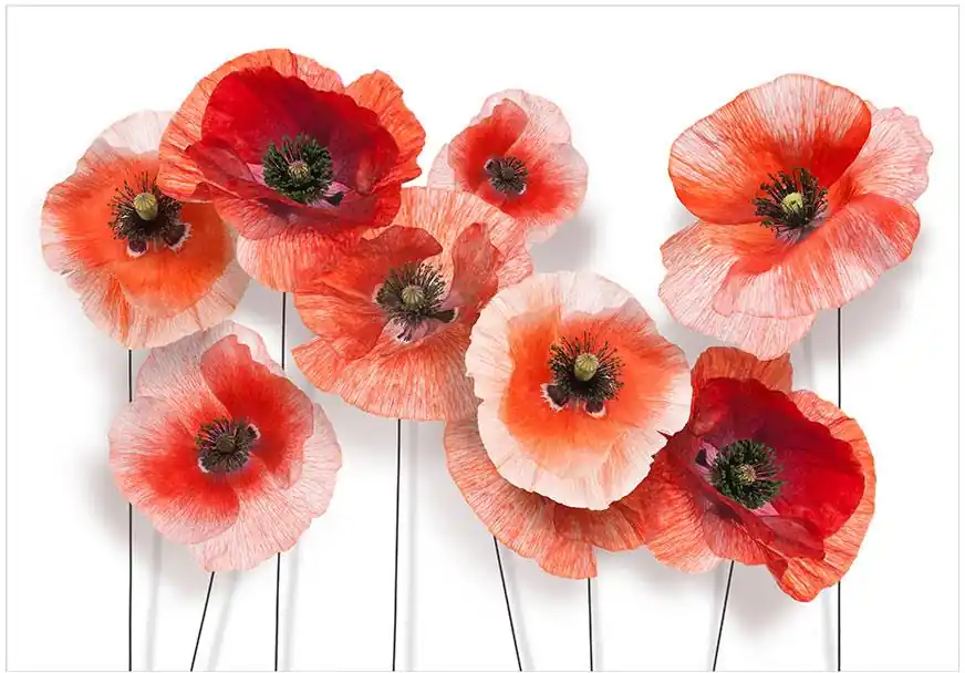 Edullinen Hinta Kuvatapetti Artgeist Nine poppies eri kokoja