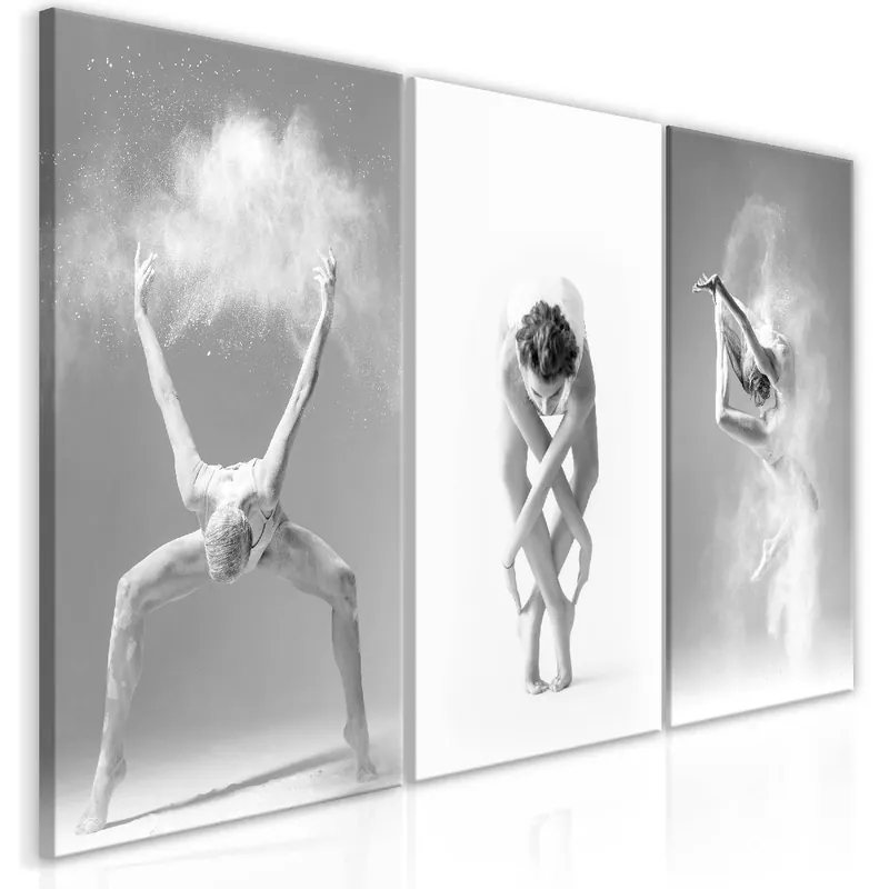 Canvas-taulu Artgeist Ballet Collection, eri kokoja Päivän Tarjous