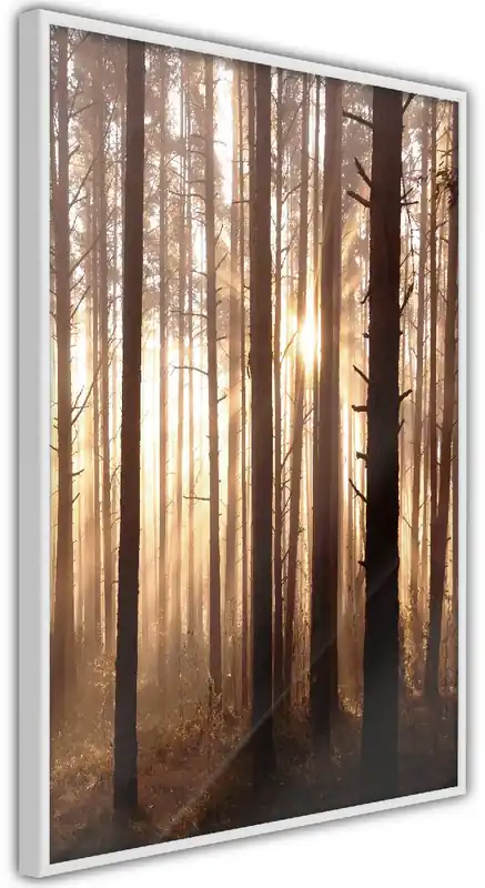 Juliste Artgeist Forest Paths kehyksillä eri kokoja Päivän Tarjous